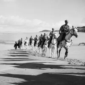 Deutsches Engagement in der UNO